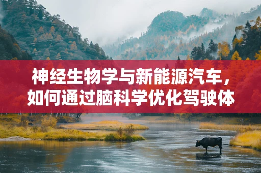 神经生物学与新能源汽车，如何通过脑科学优化驾驶体验？