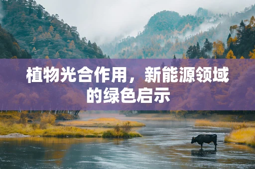 植物光合作用，新能源领域的绿色启示