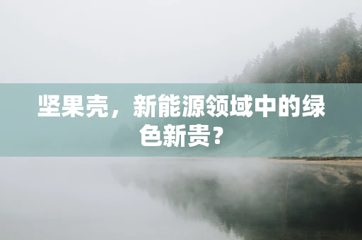 坚果壳，新能源领域中的绿色新贵？