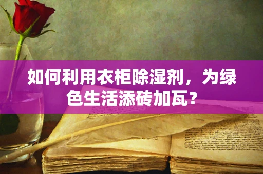 如何利用衣柜除湿剂，为绿色生活添砖加瓦？