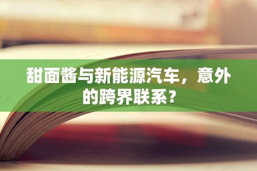 甜面酱与新能源汽车，意外的跨界联系？