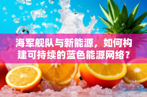 海军舰队与新能源，如何构建可持续的蓝色能源网络？