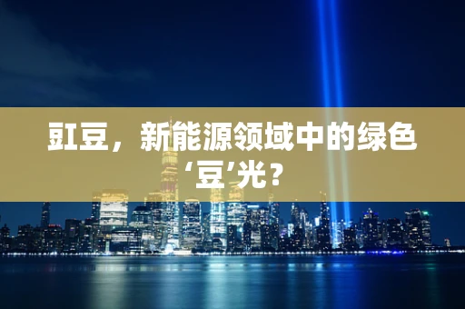 豇豆，新能源领域中的绿色‘豆’光？