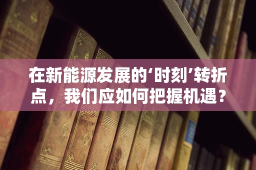 在新能源发展的‘时刻’转折点，我们应如何把握机遇？