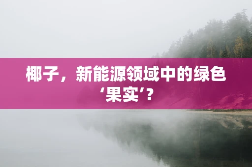 椰子，新能源领域中的绿色‘果实’？