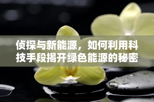 侦探与新能源，如何利用科技手段揭开绿色能源的秘密？