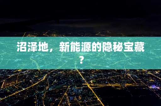 沼泽地，新能源的隐秘宝藏？