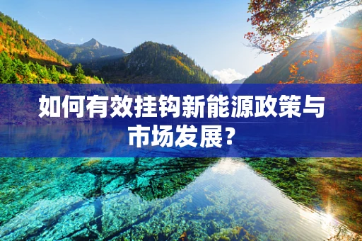 如何有效挂钩新能源政策与市场发展？