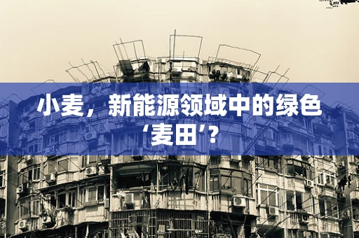 小麦，新能源领域中的绿色‘麦田’？