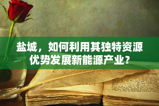 盐城，如何利用其独特资源优势发展新能源产业？