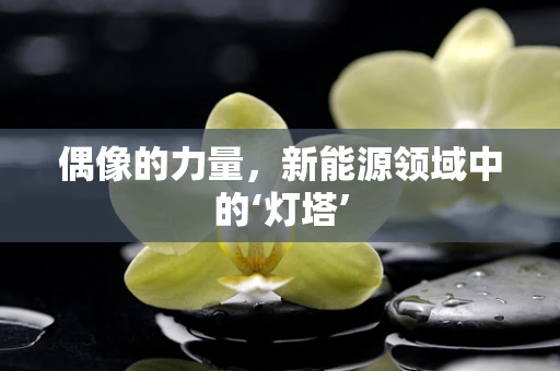 偶像的力量，新能源领域中的‘灯塔’
