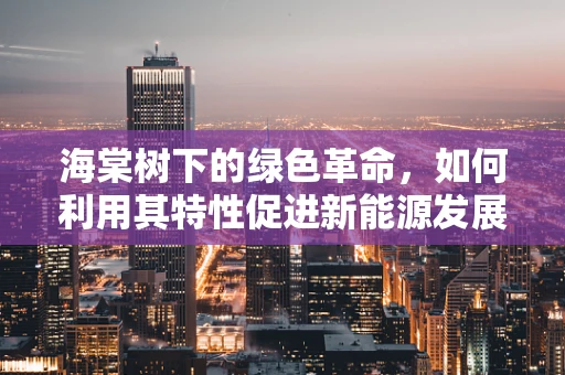 海棠树下的绿色革命，如何利用其特性促进新能源发展？
