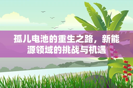 孤儿电池的重生之路，新能源领域的挑战与机遇