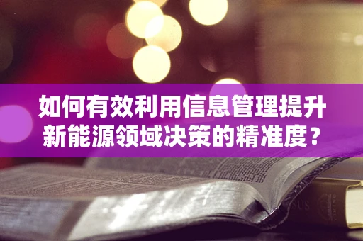 如何有效利用信息管理提升新能源领域决策的精准度？