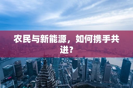 农民与新能源，如何携手共进？