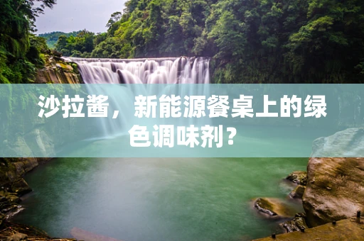 沙拉酱，新能源餐桌上的绿色调味剂？