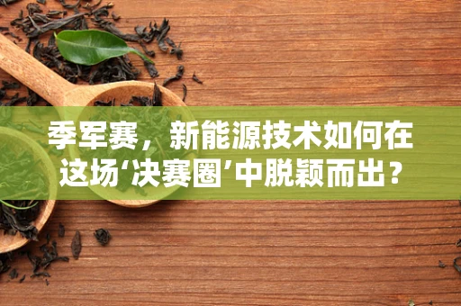 季军赛，新能源技术如何在这场‘决赛圈’中脱颖而出？