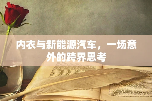 内衣与新能源汽车，一场意外的跨界思考
