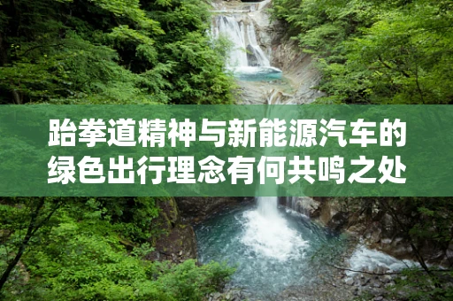 跆拳道精神与新能源汽车的绿色出行理念有何共鸣之处？