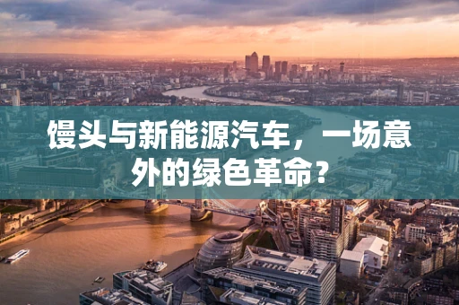 馒头与新能源汽车，一场意外的绿色革命？