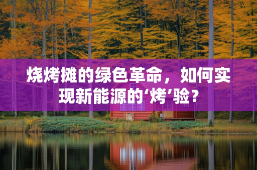 烧烤摊的绿色革命，如何实现新能源的‘烤’验？