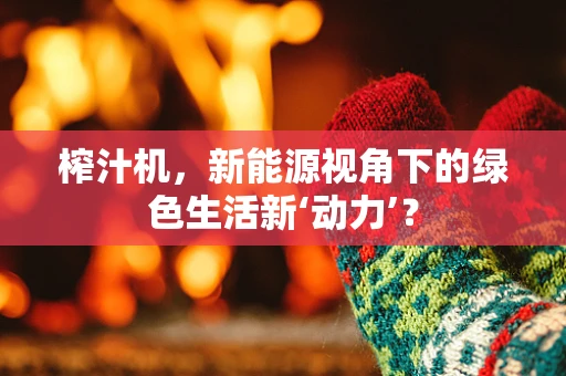 榨汁机，新能源视角下的绿色生活新‘动力’？