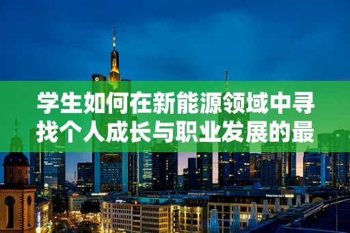 学生如何在新能源领域中寻找个人成长与职业发展的最佳路径？