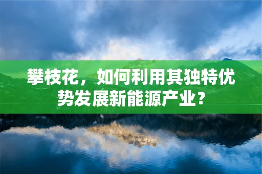 攀枝花，如何利用其独特优势发展新能源产业？