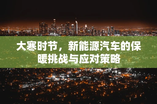 大寒时节，新能源汽车的保暖挑战与应对策略