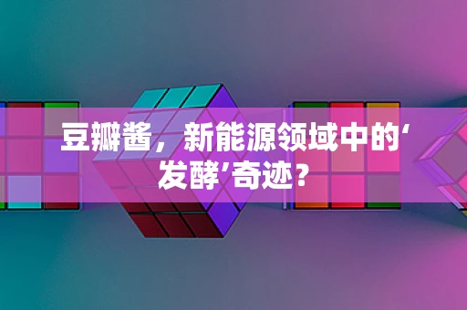 豆瓣酱，新能源领域中的‘发酵’奇迹？