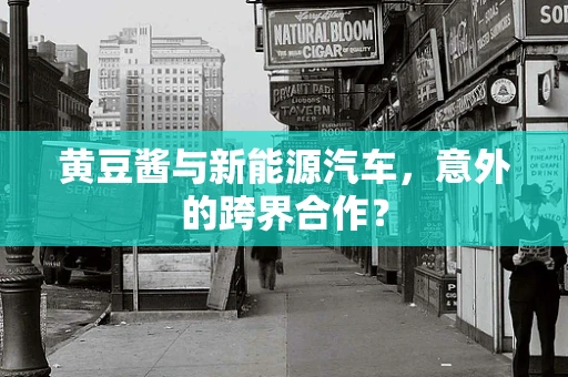 黄豆酱与新能源汽车，意外的跨界合作？