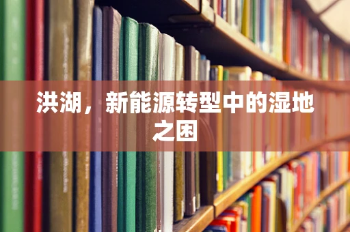 洪湖，新能源转型中的湿地之困
