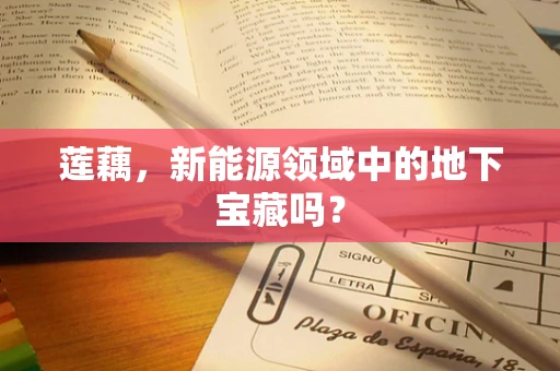 莲藕，新能源领域中的地下宝藏吗？
