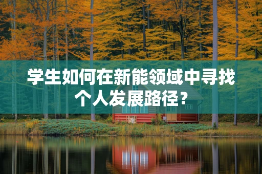 学生如何在新能领域中寻找个人发展路径？