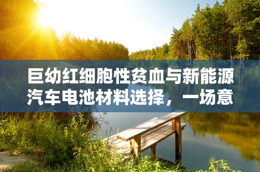 巨幼红细胞性贫血与新能源汽车电池材料选择，一场意外的关联？