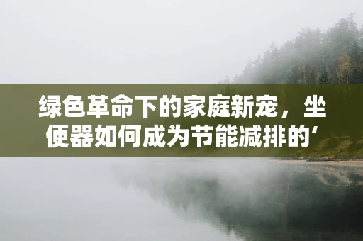绿色革命下的家庭新宠，坐便器如何成为节能减排的‘隐形英雄’？