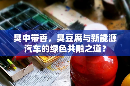臭中带香，臭豆腐与新能源汽车的绿色共融之道？