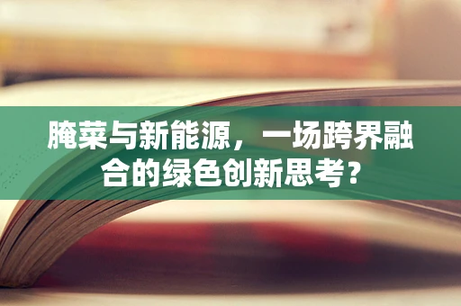 腌菜与新能源，一场跨界融合的绿色创新思考？