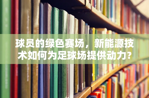 球员的绿色赛场，新能源技术如何为足球场提供动力？