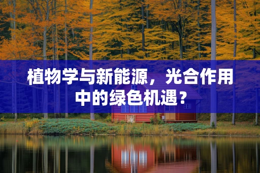 植物学与新能源，光合作用中的绿色机遇？