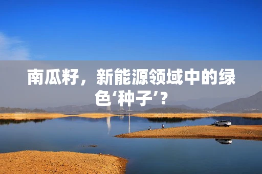 南瓜籽，新能源领域中的绿色‘种子’？