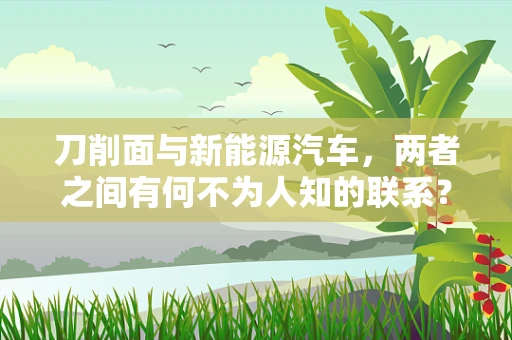 刀削面与新能源汽车，两者之间有何不为人知的联系？