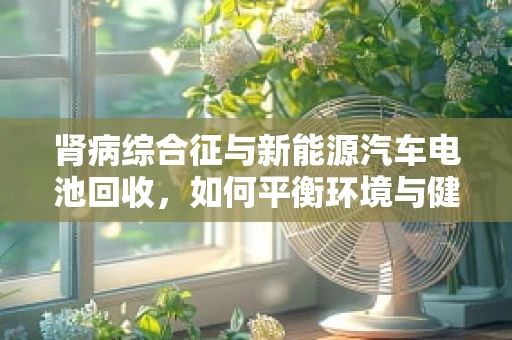 肾病综合征与新能源汽车电池回收，如何平衡环境与健康？