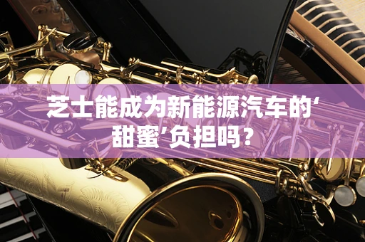 芝士能成为新能源汽车的‘甜蜜’负担吗？