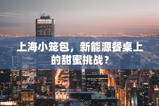 上海小笼包，新能源餐桌上的甜蜜挑战？