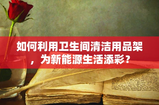 如何利用卫生间清洁用品架，为新能源生活添彩？