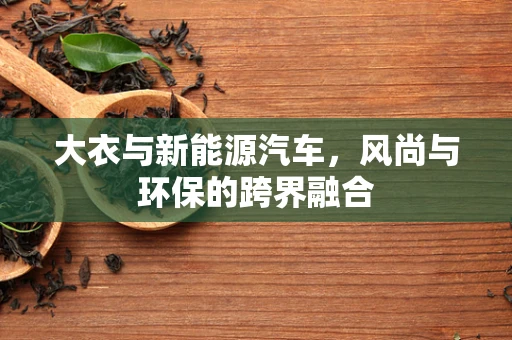 大衣与新能源汽车，风尚与环保的跨界融合