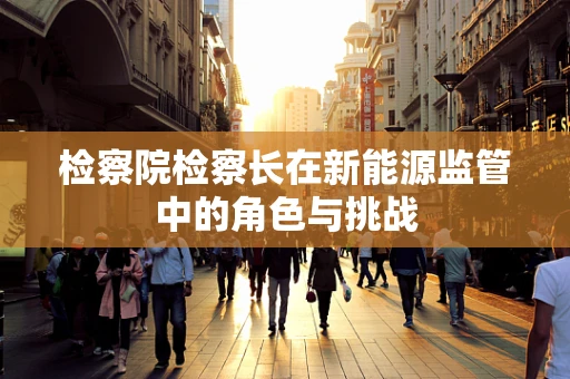 检察院检察长在新能源监管中的角色与挑战