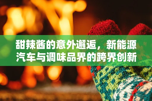 甜辣酱的意外邂逅，新能源汽车与调味品界的跨界创新？