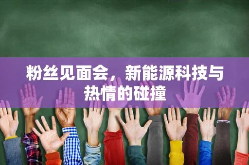 粉丝见面会，新能源科技与热情的碰撞